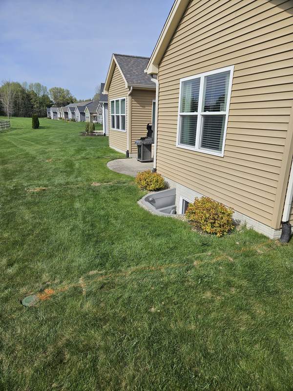 Backyard of a tan-sided house with an orange-marked drain line running across the lawn to a green pop-up emitter